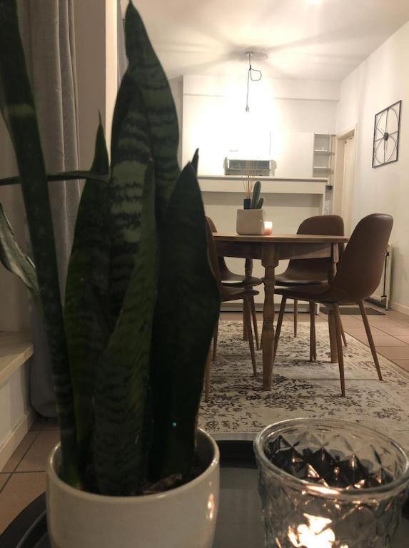 Suikerrui 2 Apartment Антверпен Екстериор снимка